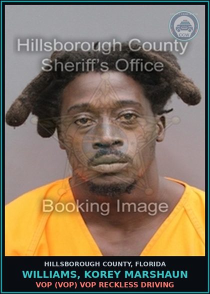 CCW arrest card for WILLIAMS, KOREY MARSHAUN in Hillsborough County: VOP (VOP) VOP RECKLESS DRIVING