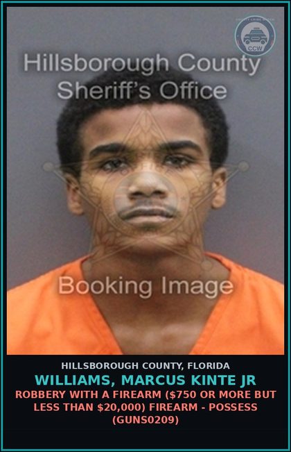 CCW arrest card for WILLIAMS, MARCUS KINTE JR in Hillsborough County: ROBBERY WITH A FIREARM ($750 OR MORE BUT LESS THAN $20,000) FIREARM - POSSESS (GUNS0209)
