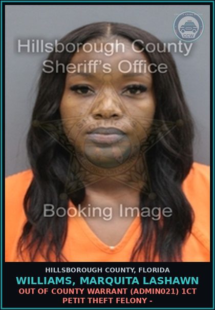 CCW arrest card for WILLIAMS, MARQUITA LASHAWN in Hillsborough County: OUT OF COUNTY WARRANT (ADMIN021) 1CT PETIT THEFT FELONY -