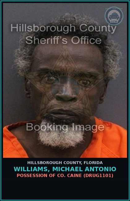 CCW arrest card for WILLIAMS, MICHAEL ANTONIO in Hillsborough County: POSSESSION OF COCAINE (DRUG1101)