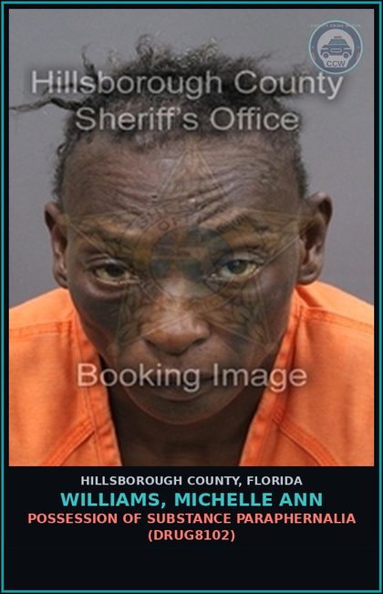 CCW arrest card for WILLIAMS, MICHELLE ANN in Hillsborough County: POSSESSION OF DRUG PARAPHERNALIA (DRUG8102)