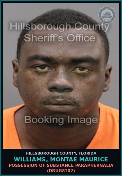 CCW arrest card for WILLIAMS, MONTAE MAURICE in Hillsborough County: FLEEING AND ATTEMPTING TO ELUDE A POLICE OFFICER (TRAF3039)