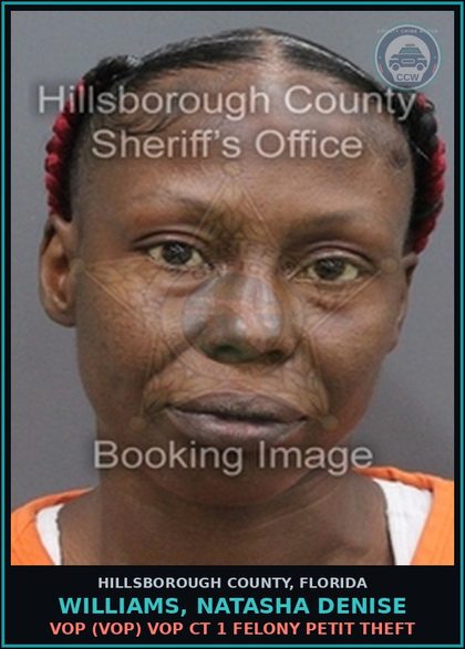 CCW arrest card for WILLIAMS, NATASHA DENISE in Hillsborough County: VOP (VOP) VOP CT 1 FELONY PETIT THEFT