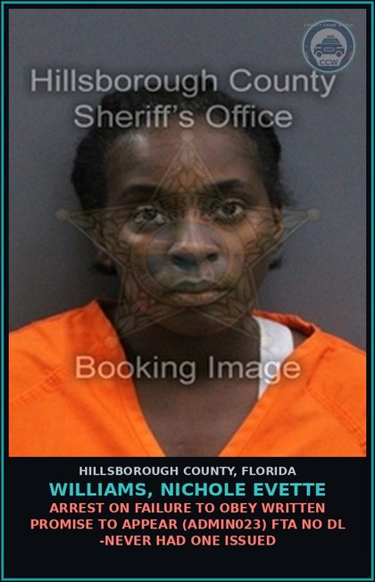 CCW arrest card for WILLIAMS, NICHOLE EVETTE in Hillsborough County: ARREST ON FAILURE TO OBEY WRITTEN PROMISE TO APPEAR (ADMIN023) FTA NO DL -NEVER HAD ONE ISSUED