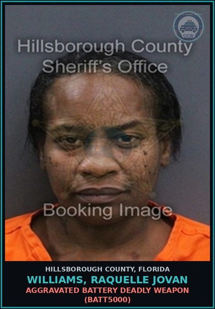 CCW arrest card for WILLIAMS, RAQUELLE JOVAN in Hillsborough County: AGGRAVATED BATTERY DEADLY WEAPON (BATT5000)