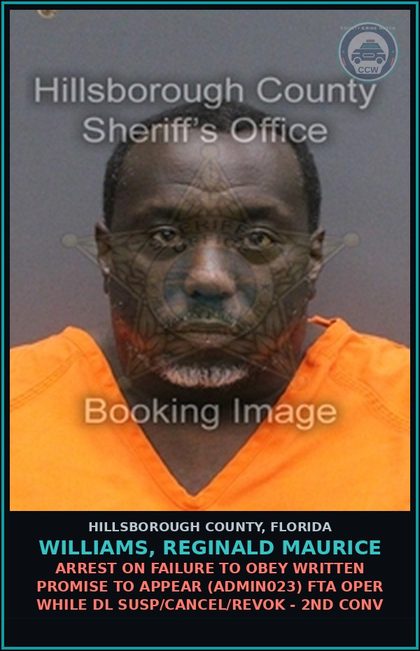 CCW arrest card for WILLIAMS, REGINALD MAURICE in Hillsborough County: ARREST ON FAILURE TO OBEY WRITTEN PROMISE TO APPEAR (ADMIN023) FTA OPER WHILE DL SUSP/CANCEL/REVOK - 2ND CONV