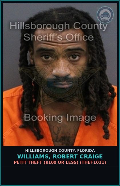 CCW arrest card for WILLIAMS, ROBERT CRAIGE in Hillsborough County: PETIT THEFT ($100 OR LESS) (THEF1011)