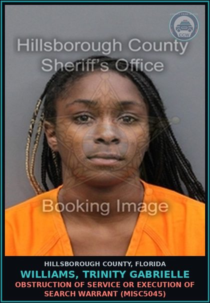 CCW arrest card for WILLIAMS, TRINITY GABRIELLE in Hillsborough County: OBSTRUCTION OF SERVICE OR EXECUTION OF SEARCH WARRANT (MISC5045)