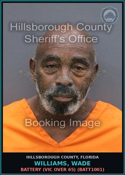 CCW arrest card for WILLIAMS, WADE in Hillsborough County: BATTERY (VICTIM OVER 65) (BATT1001)