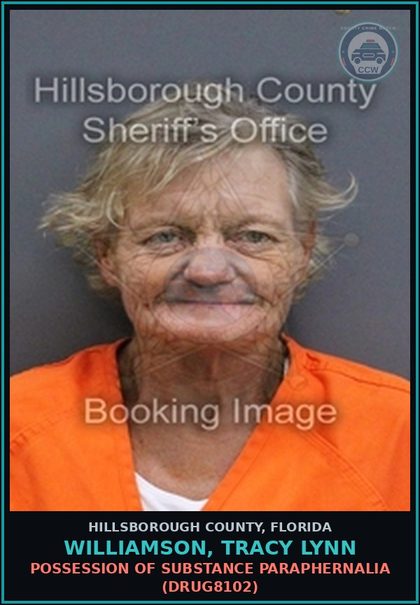 CCW arrest card for WILLIAMSON, TRACY LYNN in Hillsborough County: POSSESSION OF DRUG PARAPHERNALIA (DRUG8102)
