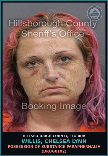 CCW arrest card for WILLIS, CHELSEA LYNN in Hillsborough County: PETIT THEFT ($100 OR LESS) (THEF1011)