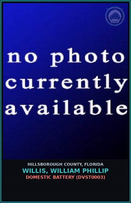 CCW arrest card for WILLIS, WILLIAM PHILLIP in Hillsborough County: DOMESTIC BATTERY (DVST0003)