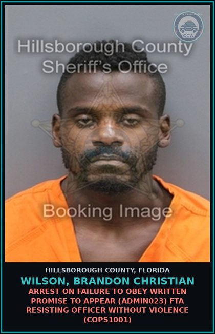 CCW arrest card for WILSON, BRANDON CHRISTIAN in Hillsborough County: ARREST ON FAILURE TO OBEY WRITTEN PROMISE TO APPEAR (ADMIN023) FTA RESISTING OFFICER WITHOUT VIOLENCE (COPS1001)