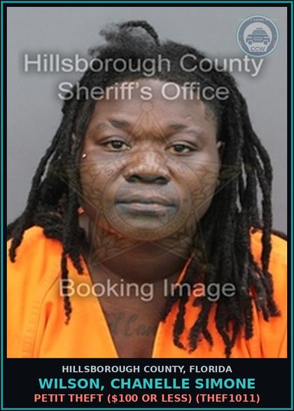CCW arrest card for WILSON, CHANELLE SIMONE in Hillsborough County: PETIT THEFT ($100 OR LESS) (THEF1011)