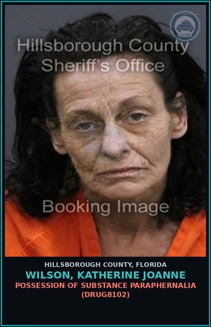 CCW arrest card for WILSON, KATHERINE JOANNE in Hillsborough County: POSSESSION OF DRUG PARAPHERNALIA (DRUG8102)