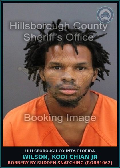 CCW arrest card for WILSON, KODI CHIAN JR in Hillsborough County: ROBBERY BY SUDDEN SNATCHING (ROBB1062)