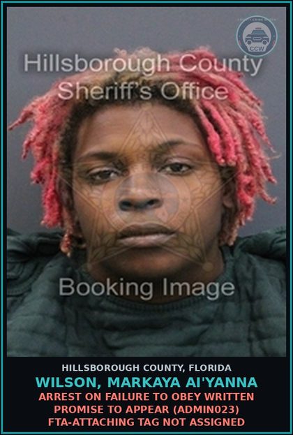 CCW arrest card for WILSON, MARKAYA AI'YANNA in Hillsborough County: ARREST ON FAILURE TO OBEY WRITTEN PROMISE TO APPEAR (ADMIN023) FTA-ATTACHING TAG NOT ASSIGNED