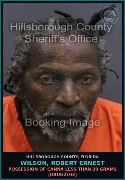CCW arrest card for WILSON, ROBERT ERNEST in Hillsborough County: POSSESSION OF Canna LESS THAN 20 GRAMS (DRUG2103)