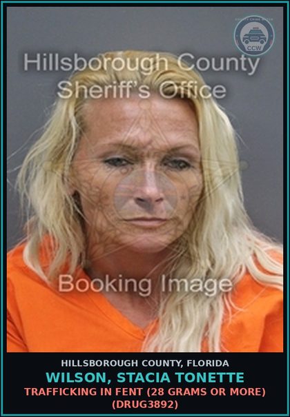 CCW arrest card for WILSON, STACIA TONETTE in Hillsborough County: POSSESSION OF COCAINE (DRUG1101)