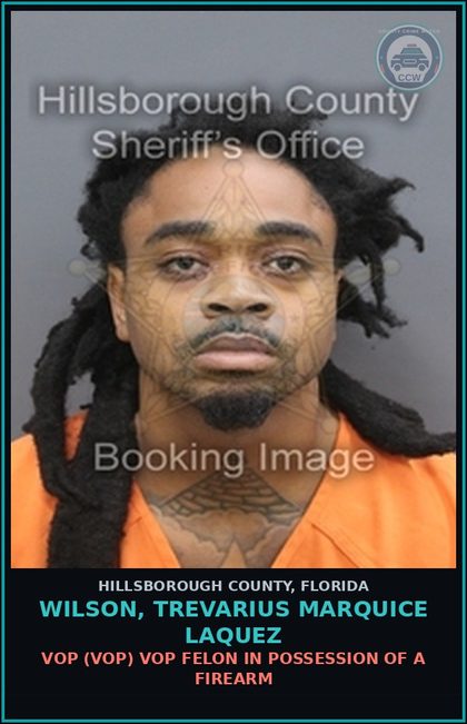 CCW arrest card for WILSON, TREVARIUS MARQUICE LAQUEZ in Hillsborough County: VOP (VOP) VOP FELON IN POSSESSION OF A FIREARM