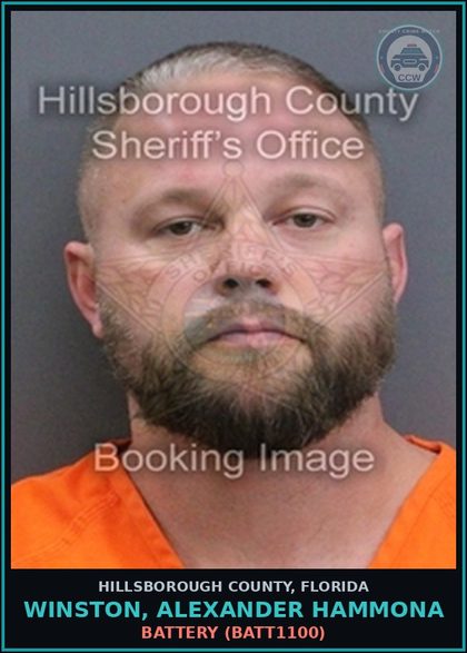 CCW arrest card for WINSTON, ALEXANDER HAMMONA in Hillsborough County: BATTERY (BATT1100)