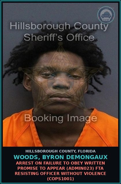 CCW arrest card for WOODS, BYRON DEMONGAUX in Hillsborough County: ARREST ON FAILURE TO OBEY WRITTEN PROMISE TO APPEAR (ADMIN023) FTA RESISTING OFFICER WITHOUT VIOLENCE (COPS1001)