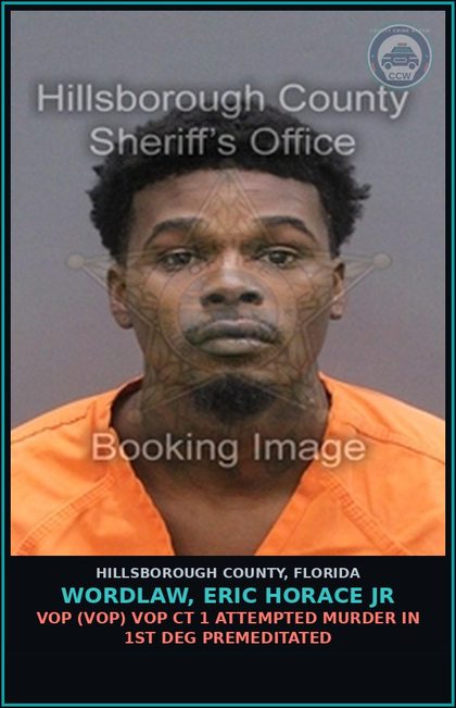 CCW arrest card for WORDLAW, ERIC HORACE JR in Hillsborough County: VOP (VOP) VOP CT 1 ATTEMPTED MURDER IN 1ST DEG PREMEDITATED