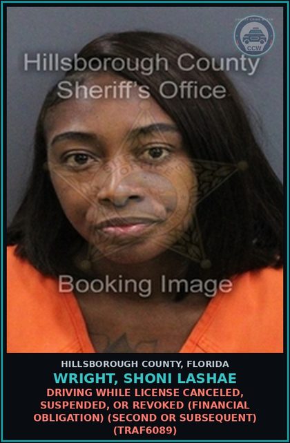 CCW arrest card for WRIGHT, SHONI LASHAE in Hillsborough County: DRIVING WHILE LICENSE CANCELED, SUSPENDED, OR REVOKED (FINANCIAL OBLIGATION) (SECOND OR SUBSEQUENT) (TRAF6089)