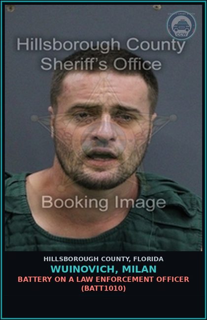CCW arrest card for WUINOVICH, MILAN in Hillsborough County: RESISTING OFFICER WITH VIOLENCE (COPS2005)