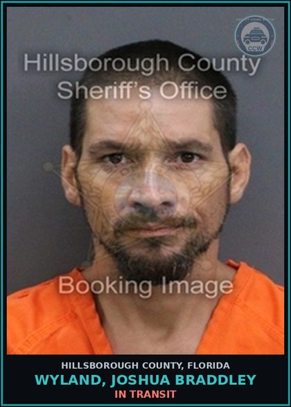CCW arrest card for WYLAND, JOSHUA BRADDLEY in Hillsborough County: In Transit