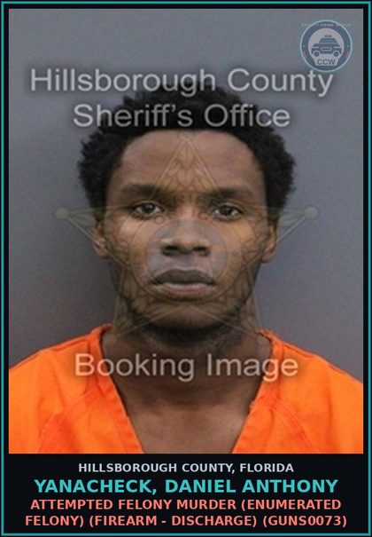 CCW arrest card for YANACHECK, DANIEL ANTHONY in Hillsborough County: ROBBERY WITH A FIREARM (LESS THAN $750) FIREARM - DISCHARGE (GUNS0201)