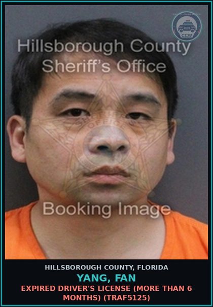 CCW arrest card for YANG, FAN in Hillsborough County: EXPIRED DRIVER'S LICENSE (MORE THAN 6 MONTHS) (TRAF5125)