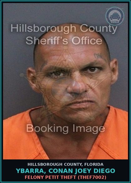 CCW arrest card for YBARRA, CONAN JOEY DIEGO in Hillsborough County: FELONY PETIT THEFT (THEF7002)