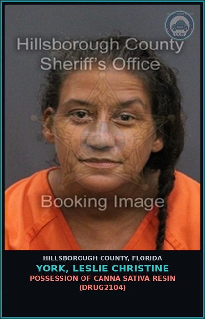 CCW arrest card for YORK, LESLIE CHRISTINE in Hillsborough County: POSSESSION OF Canna SATIVA RESIN (DRUG2104)