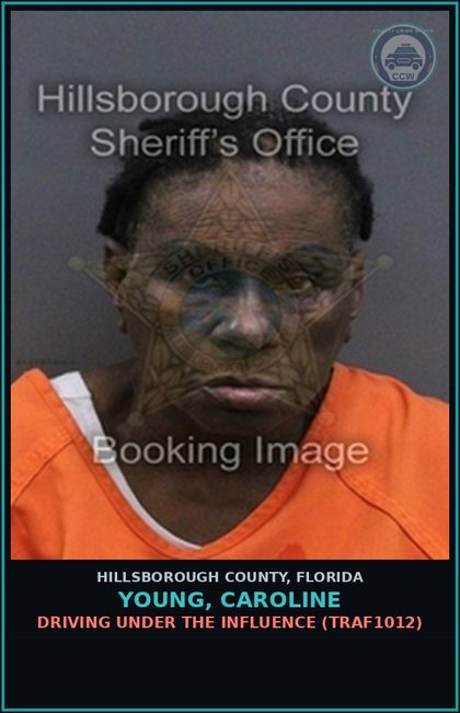 CCW arrest card for YOUNG, CAROLINE in Hillsborough County: DRIVING UNDER THE INFLUENCE (TRAF1012)