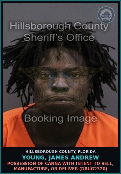 CCW arrest card for YOUNG, JAMES ANDREW in Hillsborough County: POSSESSION OF Canna WITH INTENT TO SELL, MANUFACTURE, OR DELIVER (DRUG2320)