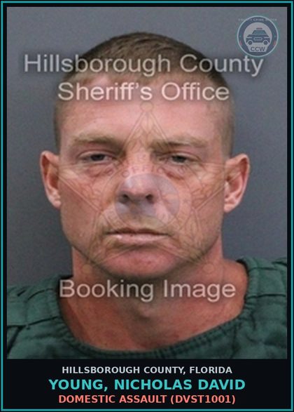 CCW arrest card for YOUNG, NICHOLAS DAVID in Hillsborough County: DOMESTIC ASSAULT (DVST1001)