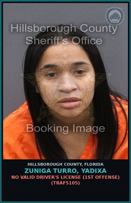 CCW arrest card for ZUNIGA TURRO, YADIXA in Hillsborough County: NO VALID DRIVER'S LICENSE (1ST OFFENSE) (TRAF5105)