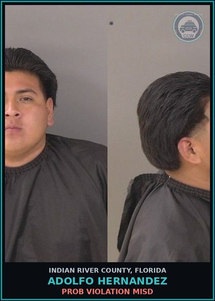 CCW arrest card for Adolfo Hernandez in Indian River County: PROB VIOLATION MISD