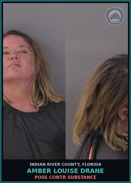 CCW arrest card for Amber Louise Drane in Indian River County: DISORDER INTOX PUBLIC PLACE CAUSE DISTURBANCE