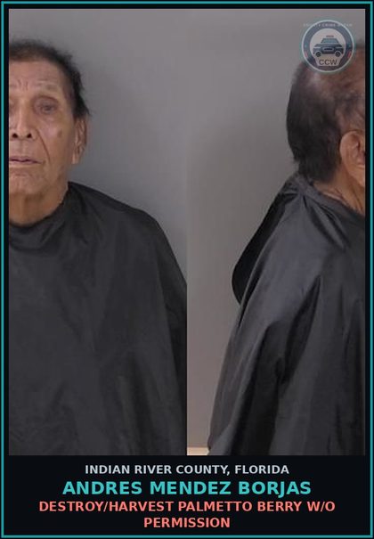CCW arrest card for Andres Mendez Borjas in Indian River County: DESTROY/HARVEST PALMETTO BERRY W/O PERMISSION