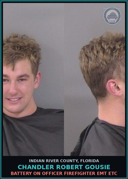 CCW arrest card for Chandler Robert Gousie in Indian River County: DISORDERLY INTOX PUBLIC PLACE CAUSE DISTURBANCE