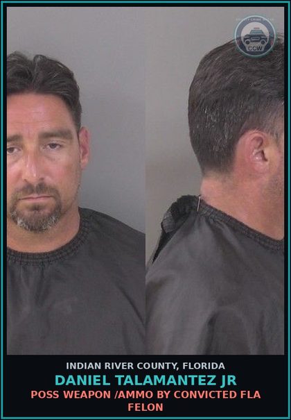 CCW arrest card for Daniel Talamantez Jr in Indian River County: POSS WEAPON /AMMO BY CONVICTED FLA FELON
