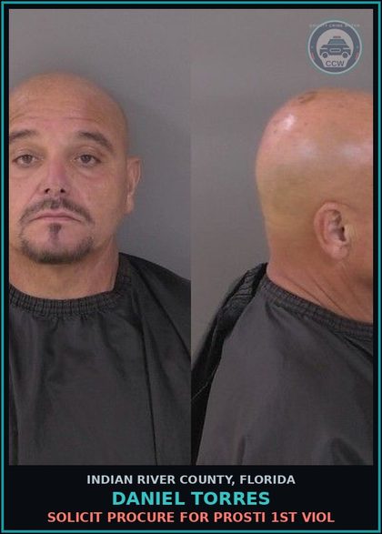 CCW arrest card for Daniel Torres in Indian River County: SOLICIT PROCURE FOR Prosti 1ST VIOL