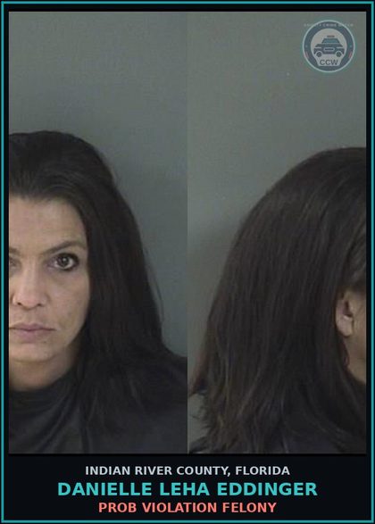 CCW arrest card for Danielle Leha Eddinger in Indian River County: PROB VIOLATION FELONY