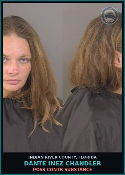 CCW arrest card for Dante Inez Chandler in Indian River County: POSS contr substance