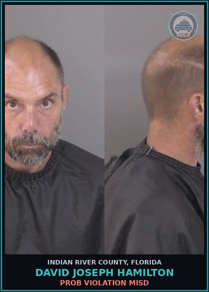 CCW arrest card for David Joseph Hamilton in Indian River County: PROB VIOLATION MISD