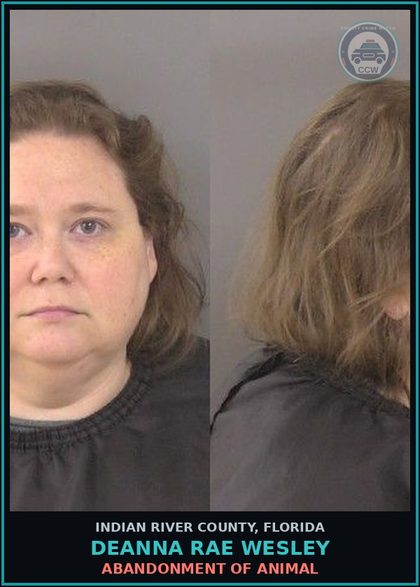 CCW arrest card for Deanna Rae Wesley in Indian River County: ABANDONMENT OF ANIMAL