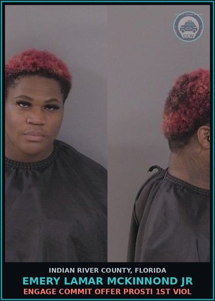 CCW arrest card for Emery Lamar McKinnond Jr in Indian River County: ENGAGE COMMIT OFFER Prosti 1ST VIOL