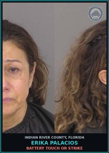 CCW arrest card for Erika Palacios in Indian River County: BATTERY TOUCH OR STRIKE
